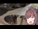 【東北きりたん】川崎マリエンと、羊さんへの餌やり
