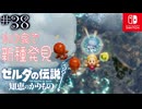 【カリモノ実況38】寒さの中でもたくましく【ゼルダの伝説 知恵のかりもの】