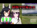 AZKiのGeoGuessrスキルにドン引きするミオしゃ