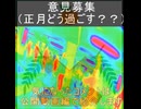 ｛意見募集23｝正月どうすごす？