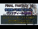 【FF11】ユニティリーダーフェイス紹介！　あなたは誰のユニティに入る？リーダーフェイスの性能を見てみよう！
