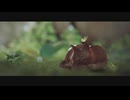 我のストレイ１