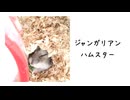 うちのねずみの歌 / sunoAI