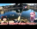 琴葉姉妹と行く釣行記録（釣り堀編part30）