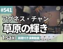 アグネス・チャン「草原の輝き」をテナーサックスで演奏 楽譜 コード 付き演奏動画