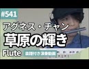 アグネス・チャン「草原の輝き」をフルートで演奏 楽譜 コード 付き演奏動画