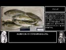 アリミリ姉妹の淡路島海釣り日記Part.21