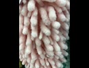 75730642390__3B2E3E54-D3B4-4D4C-ACB5-ACF7CD964F51