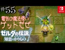 【カリモノ実況55】電気玉しか撃てません【ゼルダの伝説 知恵のかりもの】
