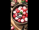 週刊〇んこ図鑑　【こ】
