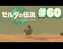【ぽつぽつ実況 #60】モルドラジーク【ティアーズオブザキングダム】