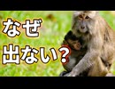 メスしかおっぱいが出ない理由がこちら【解説】