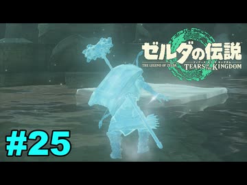 【ゆっくり実況】ティアキンぜんぶやる #25