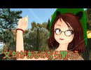 【東方MMD】  狸たちの反抗？マミゾウ流の躾　【Touhou】