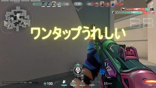 あーねんまつ【VALORANT】