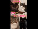 2024 別れ…そして出会い…
