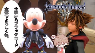 【KH３】【レベル1クリティカル】光と闇の答えを【パチクル】#45
