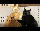 誕生日おめでとう猫【わらび・琥珀2024】
