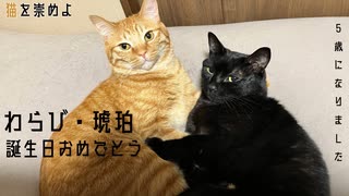 誕生日おめでとう猫【わらび・琥珀2024】