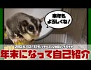 【 #おつモモンガ 】【 #切り抜き動画 】年末にフクモモ自己紹介動画！ 大晦日の大掃除の話とかもね！【フクロモモンガの朝散歩2024/12/31の #ハイライト   】
