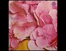 Still Life - Love Song No. 6 (I'll Never Love You Girl) (1971)