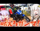 ゆかりさんのモタード奮闘日記　part⑪
