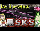 【EFT PVP】あけおめ！ワイプ直後から使える黒SKSで無双？するずんだもん #40【VOICEPEAK実況】タルコフ , SKS , グラゼロ , Customs , WOODS . 初心者