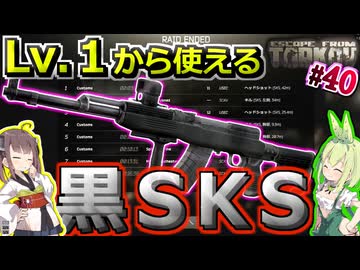 【EFT PVP】あけおめ！ワイプ直後から使える黒SKSで無双？するずんだもん #40【VOICEPEAK実況】タルコフ , SKS , グラゼロ , Customs , WOODS . 初心者