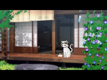 お餅と猫