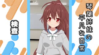 琴葉姉妹の平凡な日常 181『どうぐ屋⑯』【VOICEROID劇場】