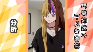 琴葉姉妹の平凡な日常 182『どうぐ屋⑰』【VOICEROID劇場】
