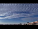 レイデー/初音ミク