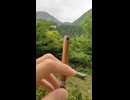 feliz (1080p)