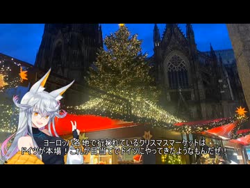 【6日目/ドイツ・ケルン】ニコライ・ボルコフ新婚旅行レポ動画　part6