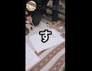 週刊〇んこ図鑑　【す】