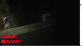 お正月配信の出来事　へび年