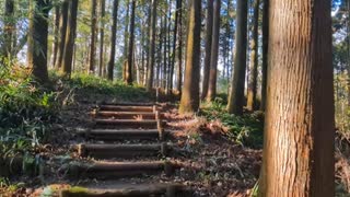 山城しんごの城めぐり　県指定文化財　河村城(神奈川県山北町)
