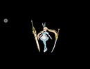 【FGO】戦闘動画。