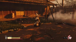 PS4破解系統配信-對馬島之魂：導演剪輯版-新游戲+-致命+-第一期 (8)