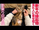 福を招きネコチャンズ、新年の縁起物をお贈りする