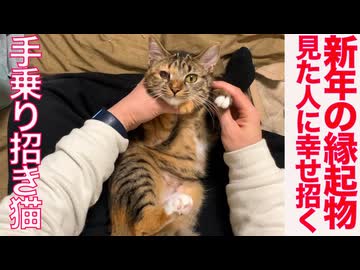 福を招きネコチャンズ、新年の縁起物をお贈りする