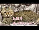 新年早々…