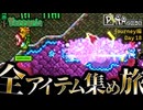 【全アイテム集め旅】サイリウムを揚げる作業動画 【テラリア】DAY18