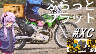 箱で運ぶレース2024～ふらっとフラット(その90)