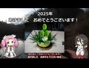 元旦から冬バス釣りにいくも滑り落ちるめたん【VOICEROIDフィッシング】四国めたんと中国うさぎ