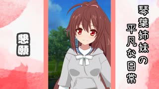 琴葉姉妹の平凡な日常 185『どうぐ屋⑳』【VOICEROID劇場】