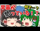 【ゆっくり茶番】新春、早苗、暴走する！！【巳年】【2025年】