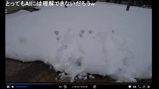 2024年12月26日青森駅前広場でのD3