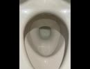 75748084591__5852F779-AD2F-43C8-B989-3D440D3B81DF