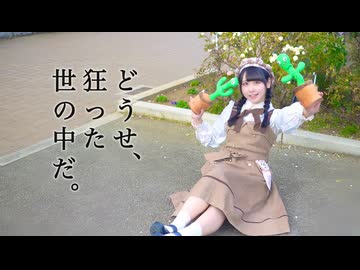 【音羽来夢】どうせ、狂った世の中だ。　踊ってみた